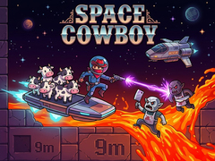 Hry Space Cowboy