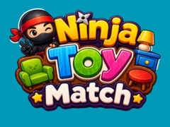 Hry Ninja Toy Match