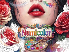 Hry Numicolor
