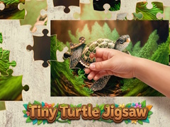 Hry Tiny Turtle Jigsaw