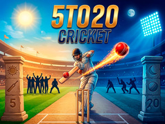Hry 5TO20 Cricket