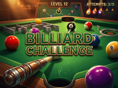 Hry Billiard Challenge