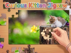 Hry Curious Kitten Jigsaw