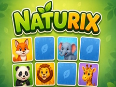 Hry Naturix