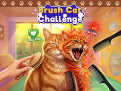 Hry Brush Cat Challenge 