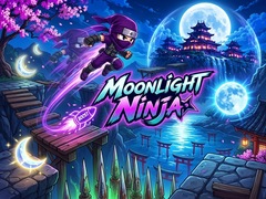 Hry Moonlight Ninja