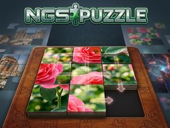 Hry NGS Puzzle