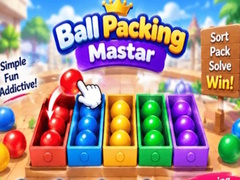 Hry Packing Master Puzzle