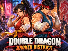 Hry Double Dragon Broken District