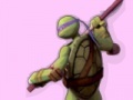 Hry Ninja Turtles Colours Memory