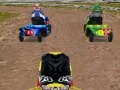 Hry Lawnmower Racing 3D