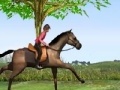 Hry Horse Jumping
