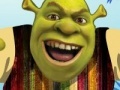 Hry Shrek