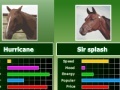 Hry Horse bet racing