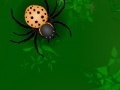 Hry Spiders attack 