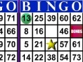 Hry Bingo 
