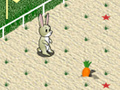 Hry Animal 4 Steps