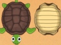 Hry Guess the turtle