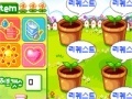 Hry Grow your own flower