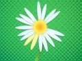 Hry Daisy petals