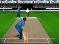 Hry Cricket Championship