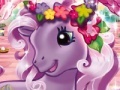 Hry Hidden Objects: My Little Pony