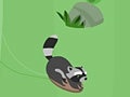 Hry Feral Slalom