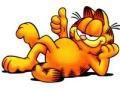 Hry Garfield