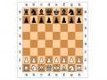 Hrát šachy. Zahrajte si šachy online bez registrace